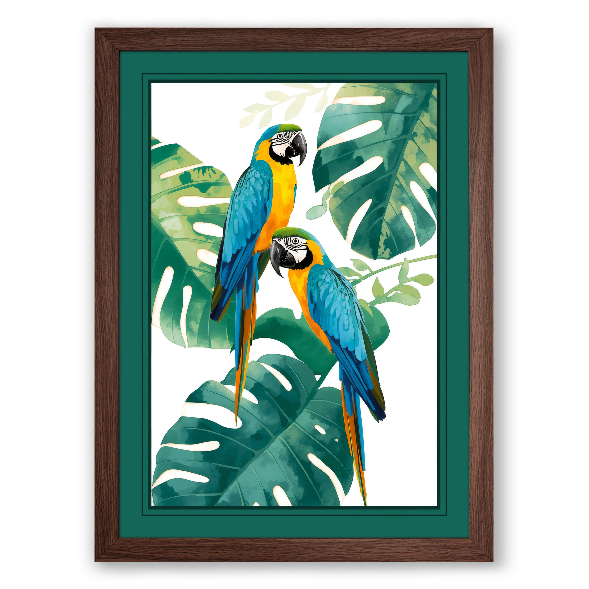 Walnut frame